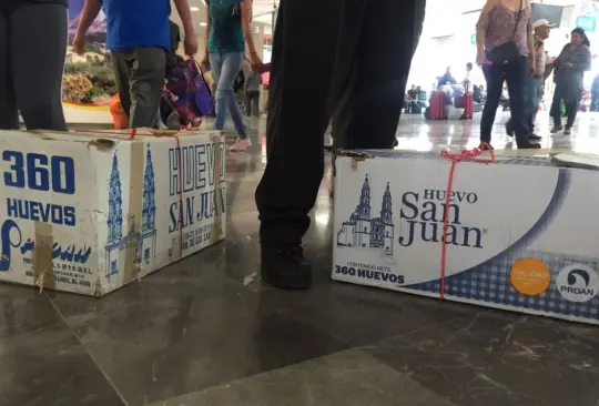 Prohíben usar cajas de huevo para el equipaje en una línea de autobuses Prohíben usar cajas de huevo para el equipaje en una línea de autobuses