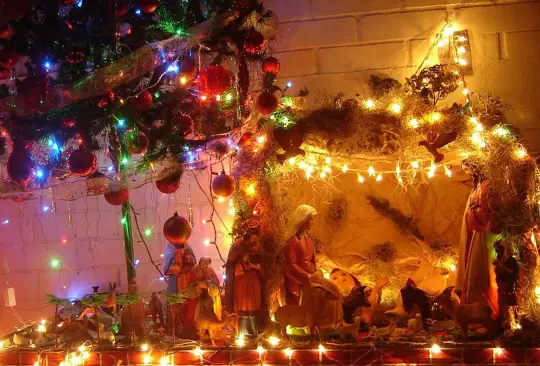 ¿Cuándo debo poner el árbol de Navidad y el nacimiento? 