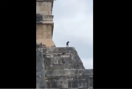 Lomito sube a la cima de la pirámide de Chichén Itzá y se vuelve viral