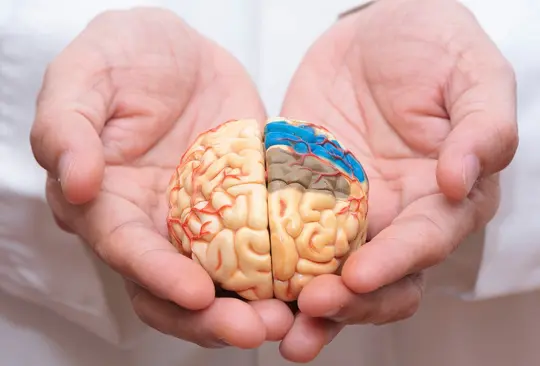 Inician pruebas de vacuna inhalada contra el Alzheimer Inician pruebas de vacuna inhalada contra el Alzheimer