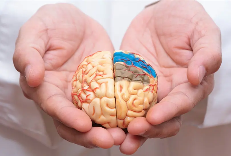 Inician pruebas de vacuna inhalada contra el Alzheimer Inician pruebas de vacuna inhalada contra el Alzheimer