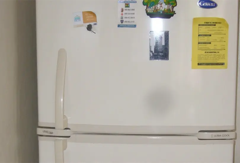 #BuenFin2021 Estos son los mejores refrigeradores según Profeco #BuenFin2021 Estos son los mejores refrigeradores según Profeco