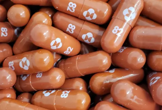 ¿Qué es el molnupiravir, la primera pastilla aprobada contra el COVID-19? ¿Qué es el molnupiravir, la primera pastilla aprobada contra el COVID-19?