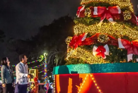Video: Alcalde de Matamoros se electrocuta durante el encendido del árbol de Navidad Video: Alcalde de Matamoros se electrocuta durante el encendido del árbol de Navidad