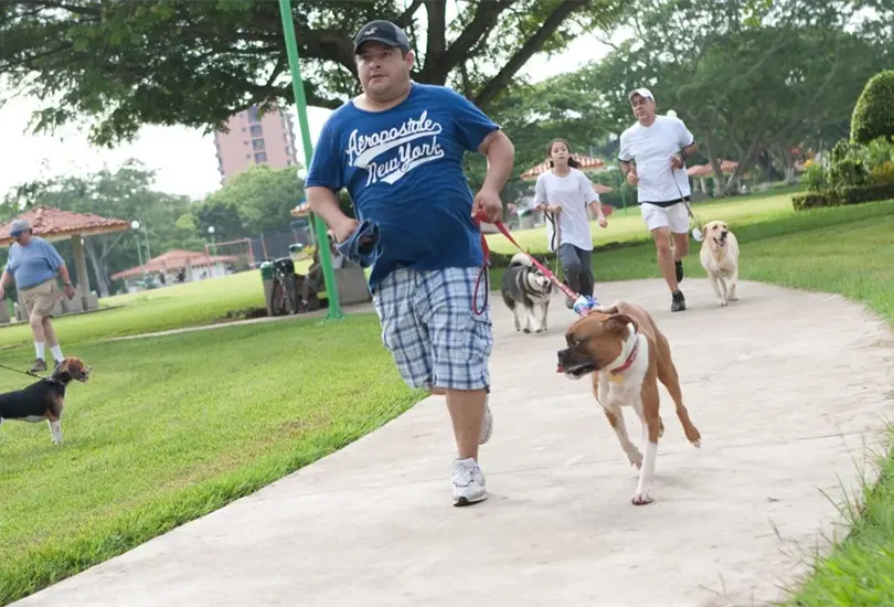 Esta es la lista de productos que estar&aacute;n libres de IVA en 2022