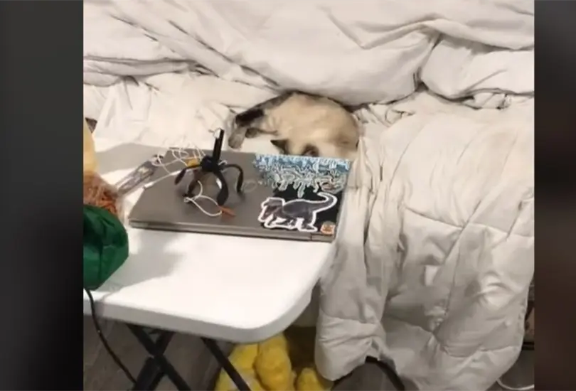 Joven muestra su vida de tacaña extrema en TiKTok: ¡No tengo cama! Joven muestra su vida de tacaña extrema en TiKTok: ¡No tengo cama!