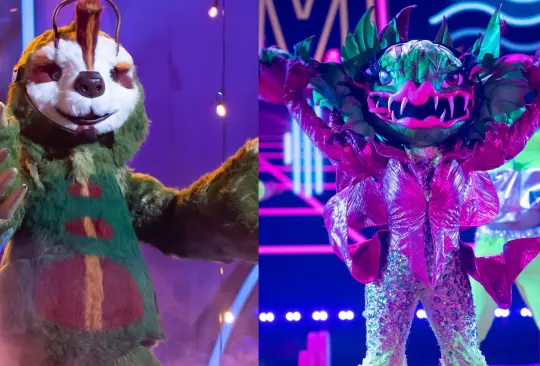 Semifinal ¿Quién es la máscara?: Los famosos detrás de Carnívora y Perezoso Semifinal ¿Quién es la máscara?: Los famosos detrás de Carnívora y Perezoso