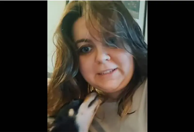 Perrito chihuahua se vuelve viral porque s&oacute;lo entiende espa&ntilde;ol y su due&ntilde;a habla ingl&eacute;s