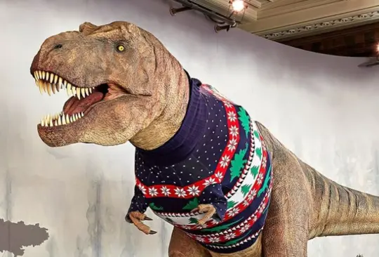 Museo viste a Tiranosaurio Rex con su&eacute;ter navide&ntilde;o y video se hace viral
