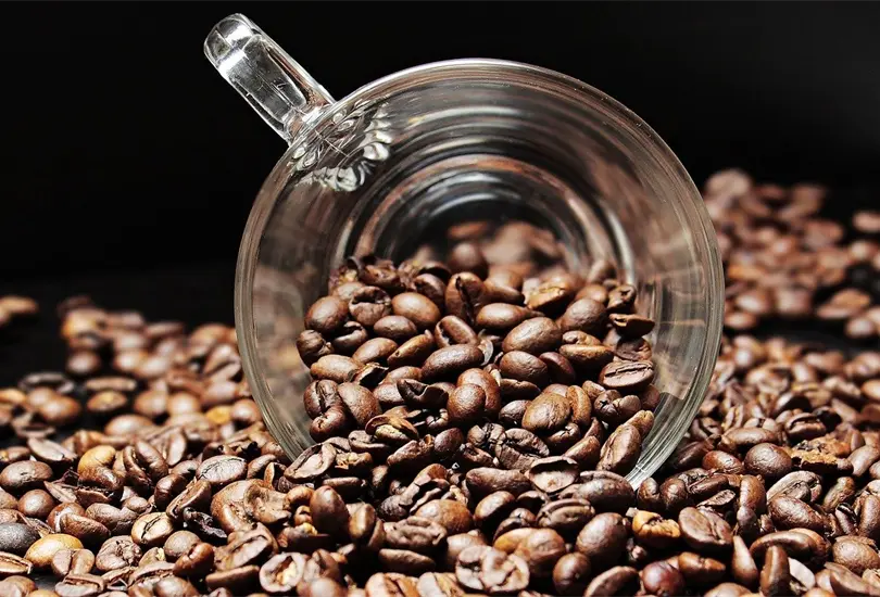 &iquest;Qu&eacute; beneficios aporta a la salud el beber caf&eacute;?