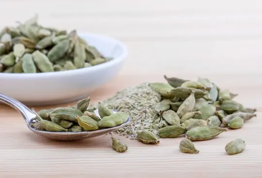 ¿Qué es y para qué sirve el cardamomo?