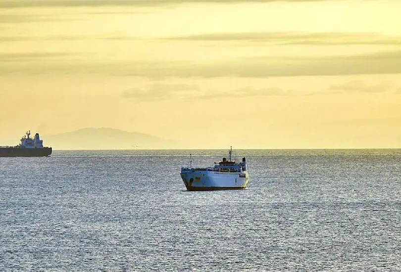 Miles de vacas llevan meses varadas en el mar; ONGs exigen servicios veterinarios Miles de vacas llevan meses varadas en el mar; ONGs exigen servicios veterinarios