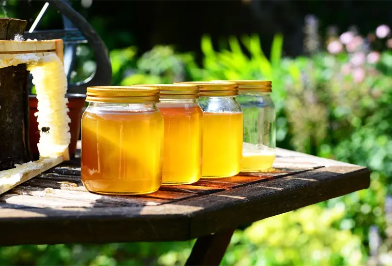 ¿Cuáles con los beneficios que aporta la miel de abeja? ¿Cuáles con los beneficios que aporta la miel de abeja?