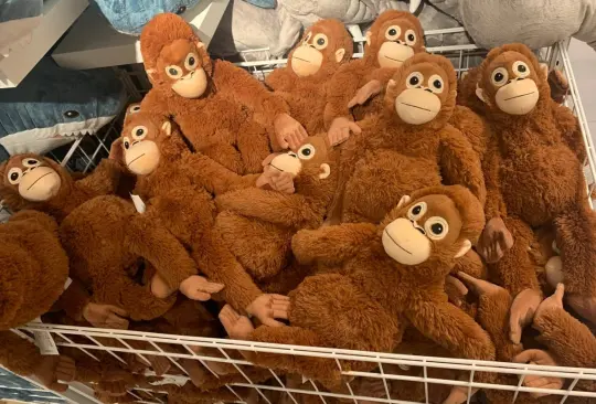 En México, tienda de muebles debuta con peluches del meme ay, no