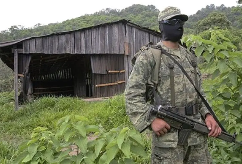 ONU detecta presencia del Cártel de Sinaloa en Venezuela ONU detecta presencia del Cártel de Sinaloa en Venezuela