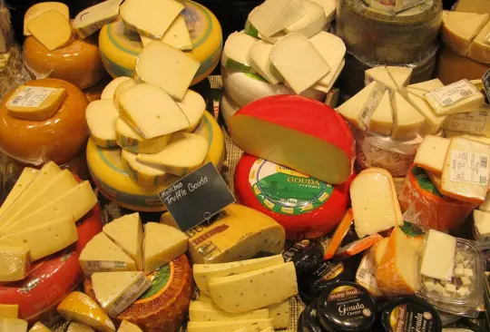 ¿Cuáles son los pros y contras del consumo de queso? ¿Cuáles son los pros y contras del consumo de queso?