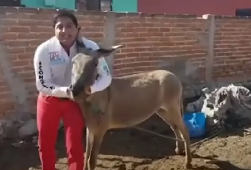 Dice nalguita, bailó con un burro y posó semidesnudo: José Romero, candidato a gobernador en SLP Dice nalguita, bailó con un burro y posó semidesnudo: José Romero, candidato a gobernador en SLP