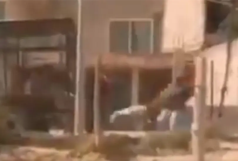 #VIDEO Exhiben a trabajadores del ayuntamiento de Puebla agrediendo a perros callejeros #VIDEO Exhiben a trabajadores del ayuntamiento de Puebla agrediendo a perros callejeros