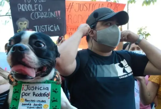 Exigen #JusticiaParaRodolfo, perrito asesinado con un hacha en Sinaloa