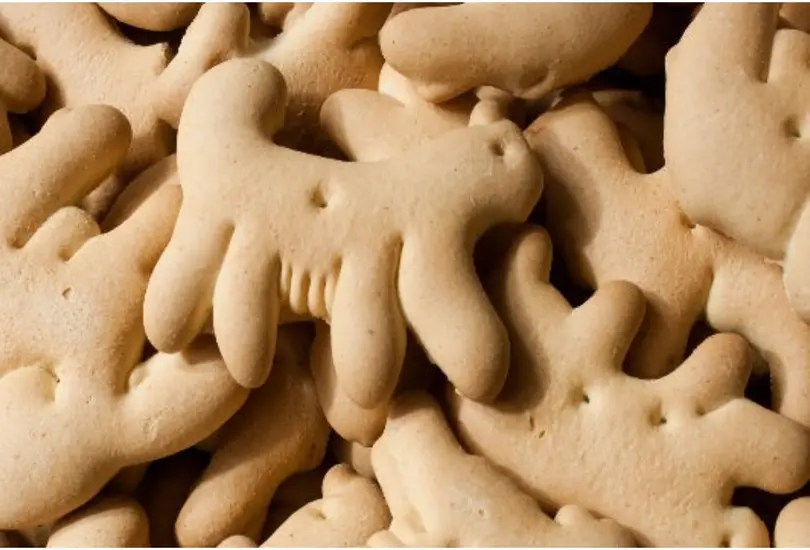 ¿Las galletas de animalitos incitan al maltrato animal? Esto dice una organización vegana ¿Las galletas de animalitos incitan al maltrato animal? Esto dice una organización vegana
