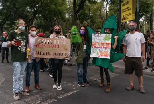 ¿Por qué el 4/20 es el Día Internacional de la Marihuana? ¿Por qué el 4/20 es el Día Internacional de la Marihuana?