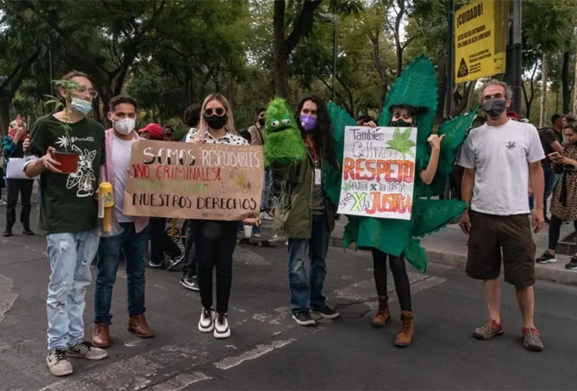 &iquest;Por qu&eacute; el 4/20 es el D&iacute;a Internacional de la Marihuana?