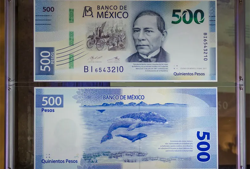 Revelan cómo operan bandas de falsificadores de billetes en CDMX Revelan cómo operan bandas de falsificadores de billetes en CDMX