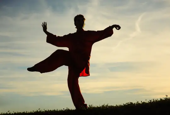 Tres canales de YouTube para hacer Tai Chi en casa Tres canales de YouTube para hacer Tai Chi en casa