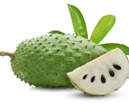 Guanábana: saludablemente Mexicana