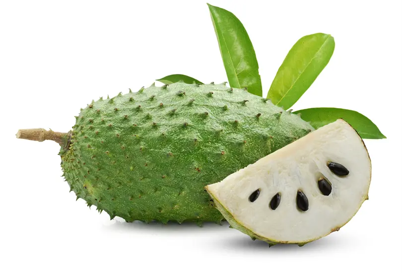 Guanábana: saludablemente Mexicana Guanábana: saludablemente Mexicana