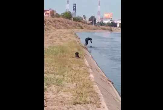 Policía se lanza a canal para rescatar a perrito de morir ahogado Policía se lanza a canal para rescatar a perrito de morir ahogado