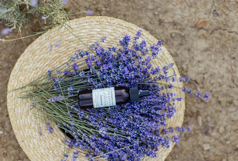 &iquest;C&oacute;mo puedo aprovechar los beneficios de la lavanda?
