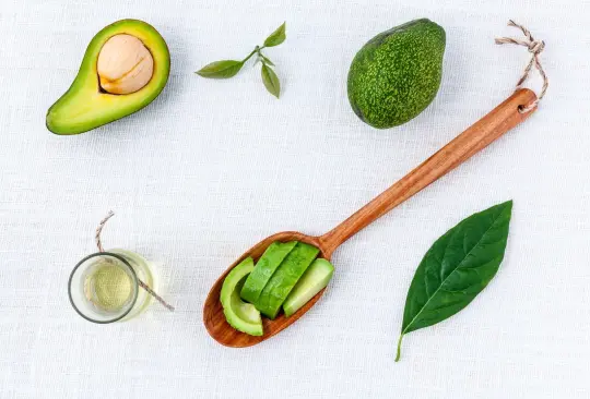 La hoja de aguacate: sus usos medicinales y terapéuticos