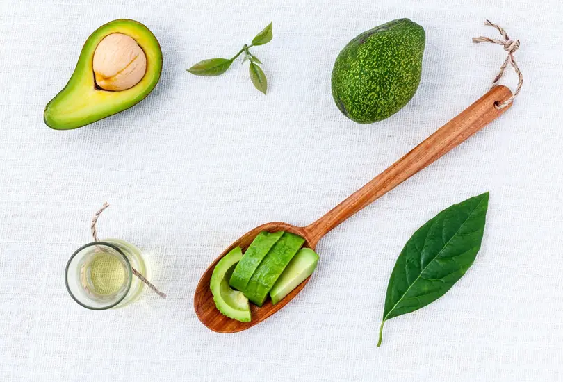 La hoja de aguacate: sus usos medicinales y terap&eacute;uticos