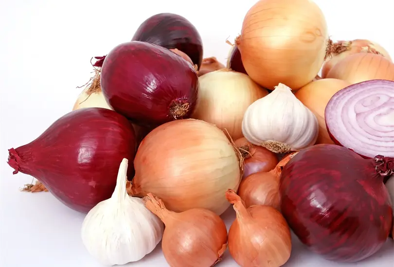 Los beneficios que aporta a tu salud el consumo de cebolla morada