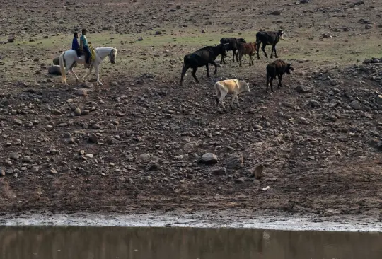Aumento de temperaturas y ausencia de lluvia: te explicamos qué es la canícula Aumento de temperaturas y ausencia de lluvia: te explicamos qué es la canícula