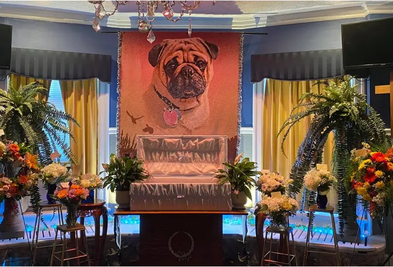 Hombre realiza elegante funeral para despedir a su mascota y se hace viral Hombre realiza elegante funeral para despedir a su mascota y se hace viral
