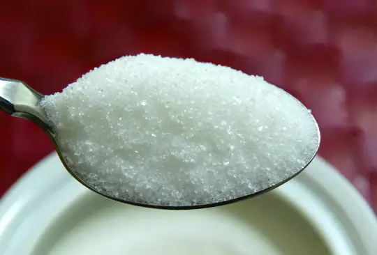 ¿Los humanos necesitamos lácteos?