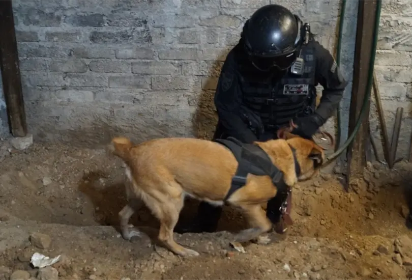 Difunden imágenes del cateo en la casa del presunto feminicida de Atizapán Difunden imágenes del cateo en la casa del presunto feminicida de Atizapán