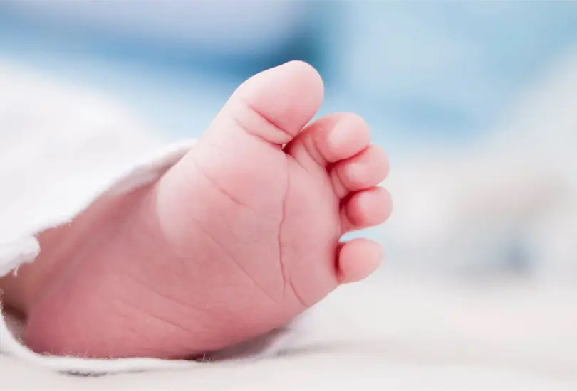 Hospital entrega rata en lugar del cuerpo de bebé muerta a sus padres Hospital entrega rata en lugar del cuerpo de bebé muerta a sus padres