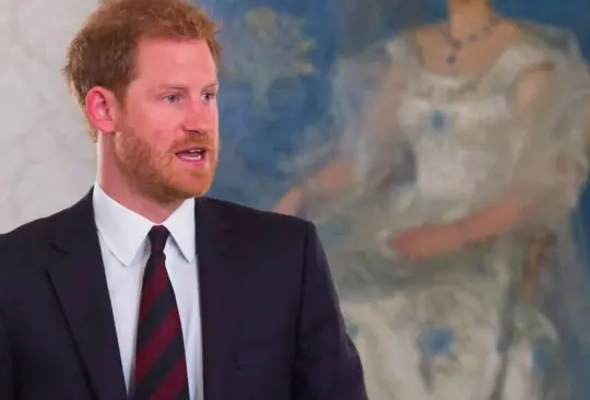 Harry revela que bebía y se drogaba ante el dolor por la muerte de su madre Harry revela que bebía y se drogaba ante el dolor por la muerte de su madre