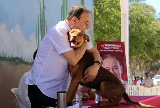 Durazo propone atención de los animales con clínicas veterinarias gratuitas