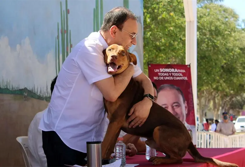 Durazo propone atenci&oacute;n de los animales con cl&iacute;nicas veterinarias gratuitas