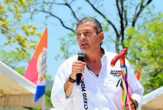 Pedroza advierte sobre el riesgo de votar por el Partido Verde Pedroza advierte sobre el riesgo de votar por el Partido Verde