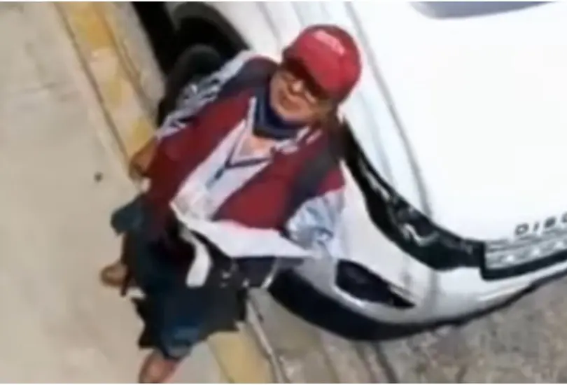 Nosotros s&iacute; acabamos la primaria: la respuesta a un brigadista de Morena que caus&oacute; pol&eacute;mica