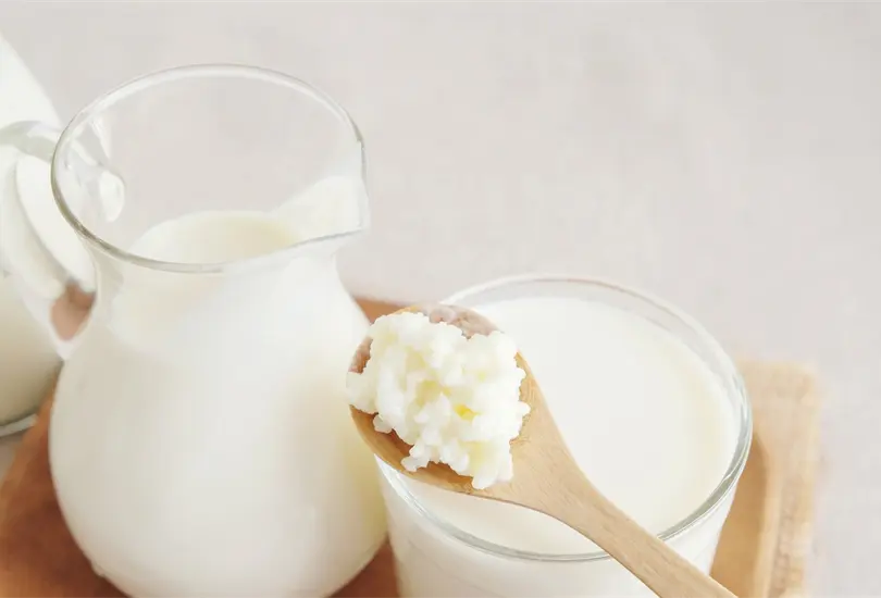 Beneficios de la leche de b&uacute;lgaros