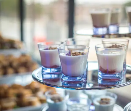 ¿Cuál es el beneficio de los probióticos en la salud?