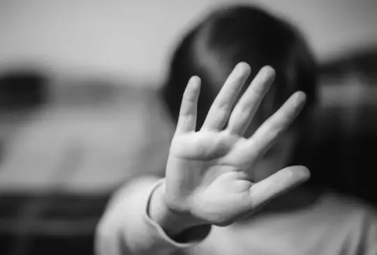 Denuncian red de abuso y pornografía infantil en escuelas de siete estados Denuncian red de abuso y pornografía infantil en escuelas de siete estados