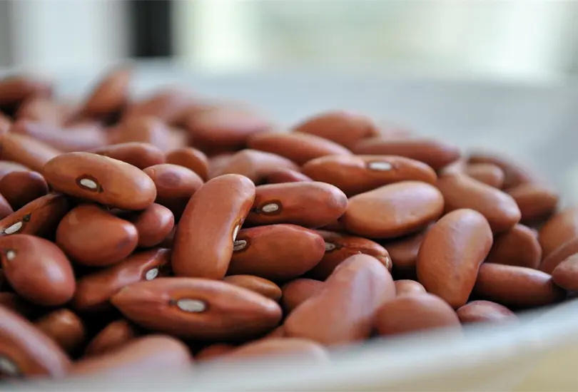 Dieta mediterr&aacute;nea: Un modo delicioso y saludable de alimentarse