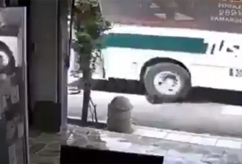 Chofer atropella a perrito que dormía sobre el pavimento Chofer atropella a perrito que dormía sobre el pavimento